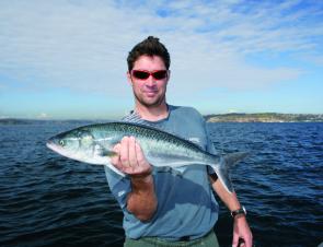 Salmon can be the most or least fussy of lure-takers. There are plenty of times when they will eat any reasonable offering thrown at them.